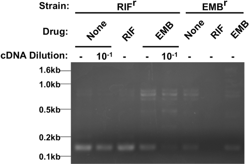 FIG 7 