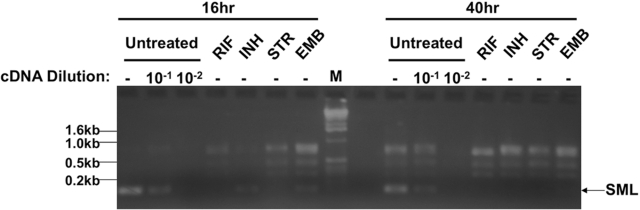 FIG 6 