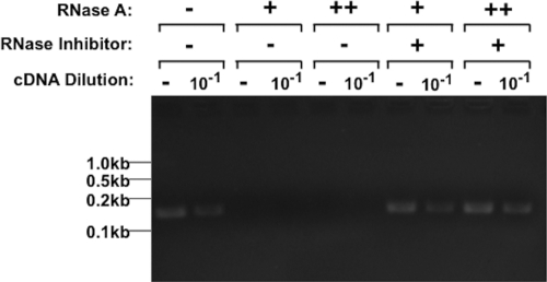 FIG 2 