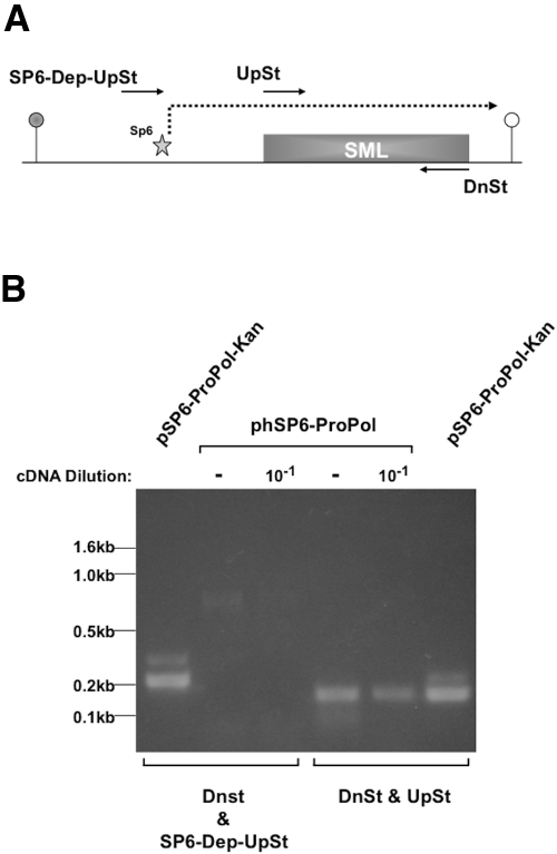 FIG 5 