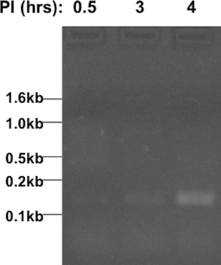 FIG 3 