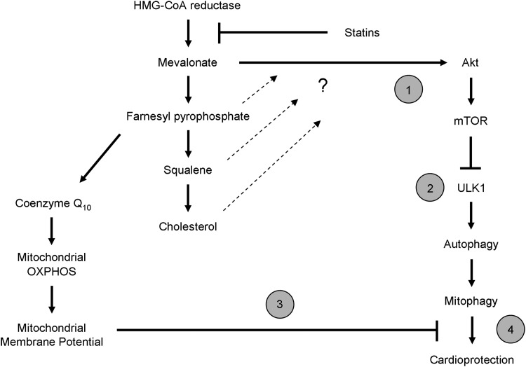 FIG. 8.