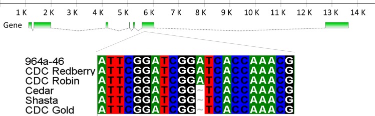 Fig 4