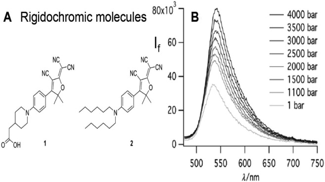 Figure 29