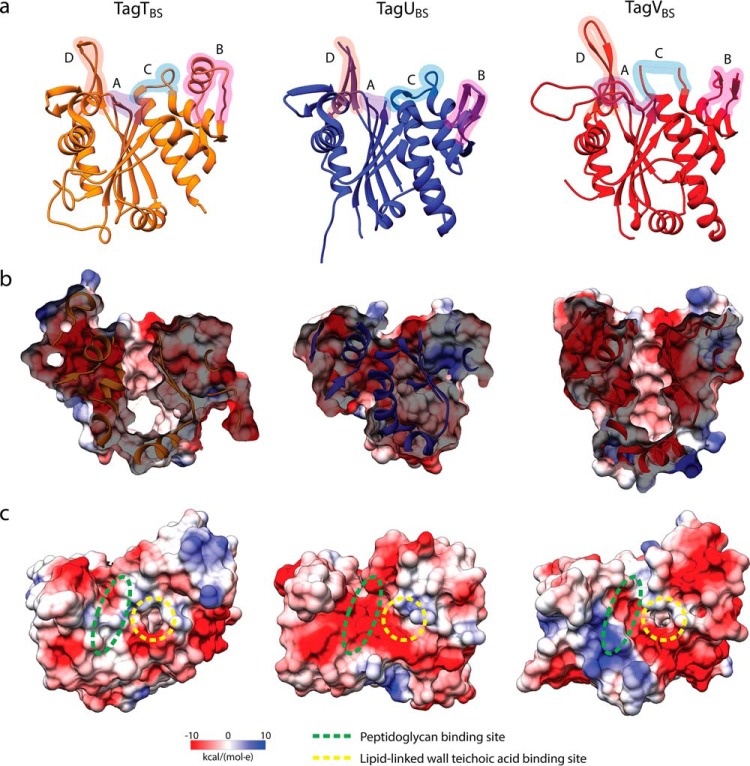 Figure 2.