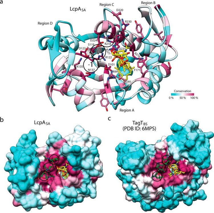 Figure 3.