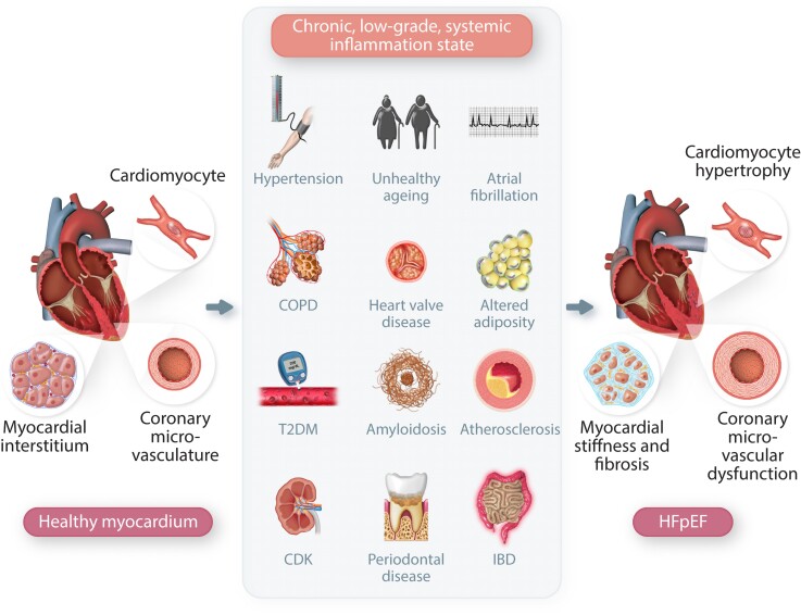 Graphical Abstract