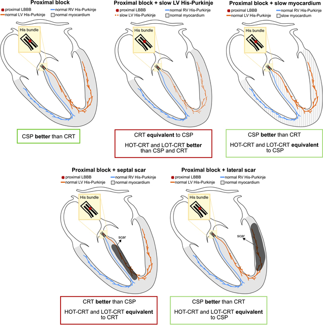 graphic file with name nihms-1870943-f0008.jpg