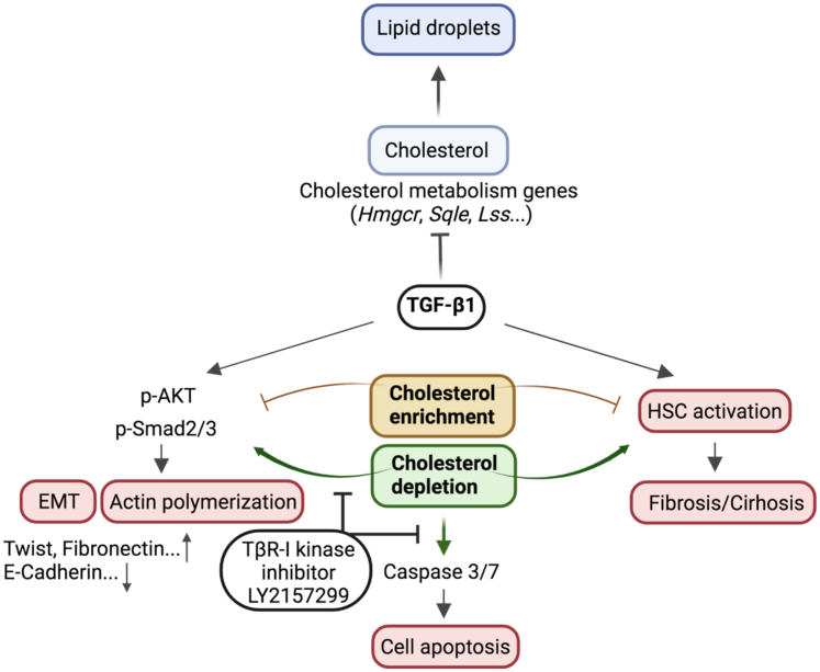 Figure 10