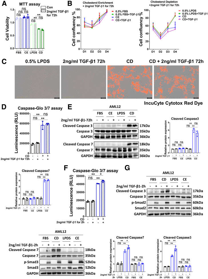 Figure 6