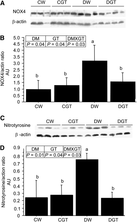 FIGURE 2 