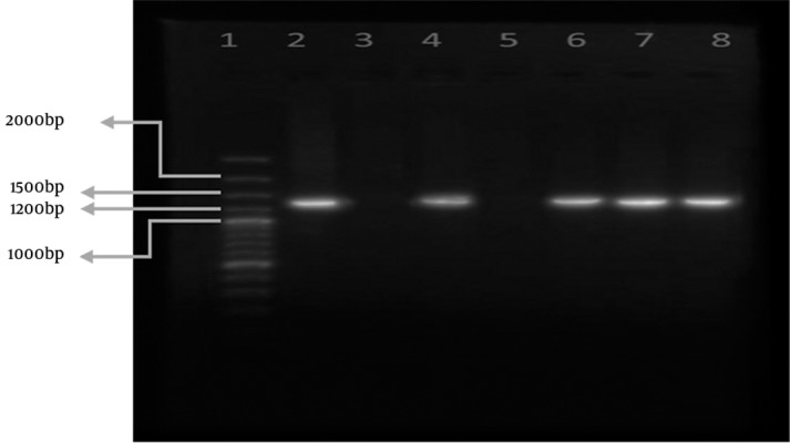 Figure 2.