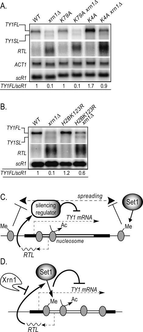 Figure 7.