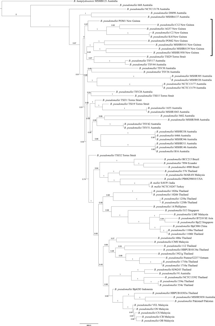 Fig 2