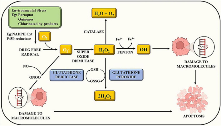 FIGURE 1