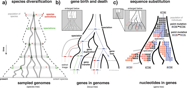 Figure 1.