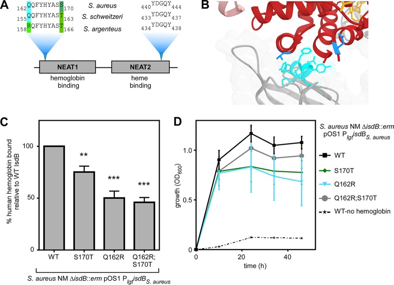 FIG 6