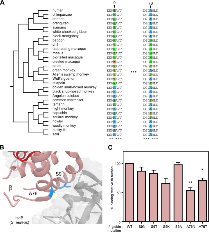 FIG 4