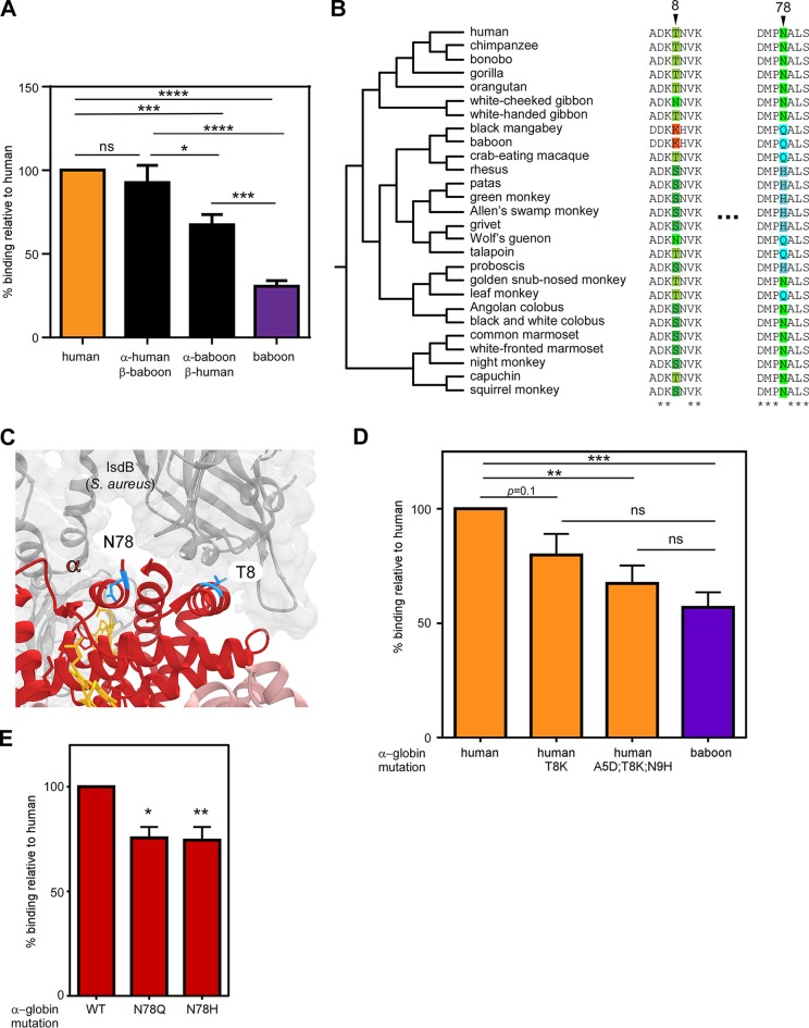 FIG 3