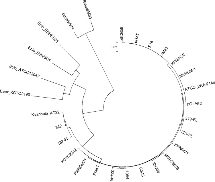 FIG 4