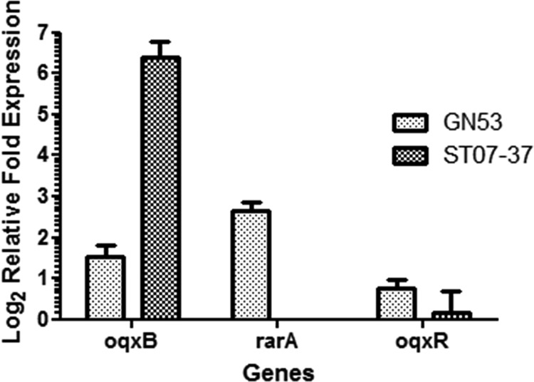 FIG 5