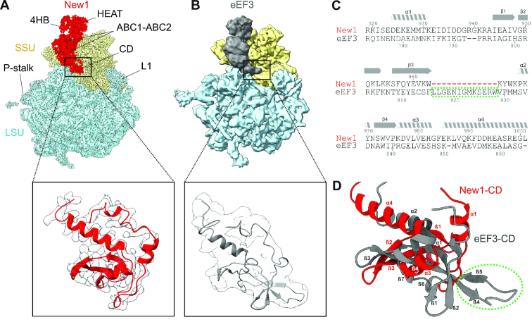 Figure 4.