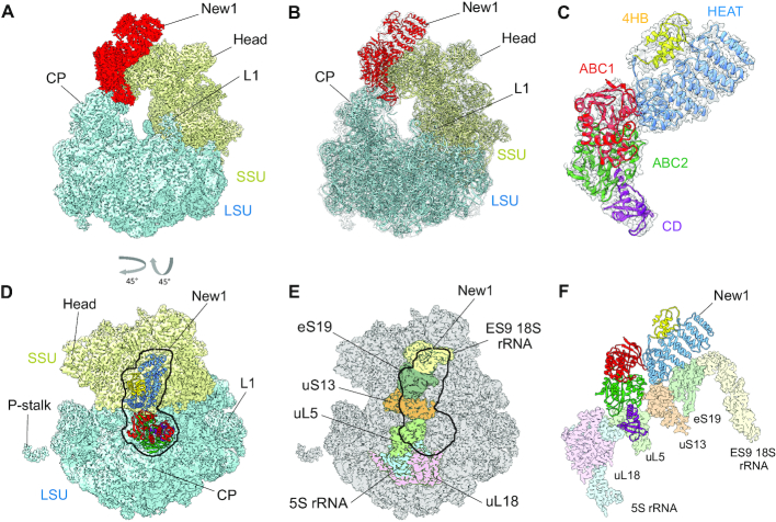 Figure 3.