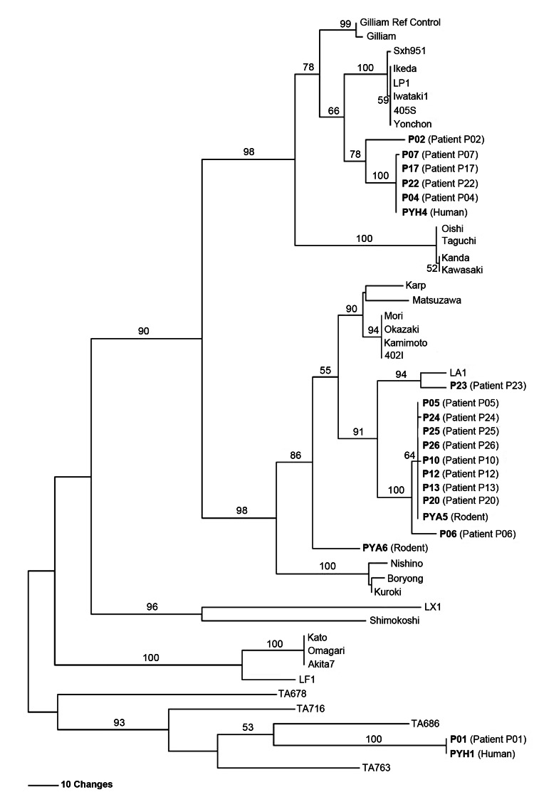 Figure 2