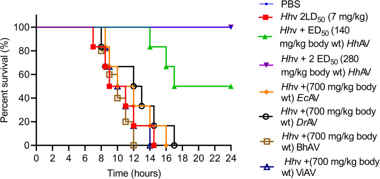 Fig 10