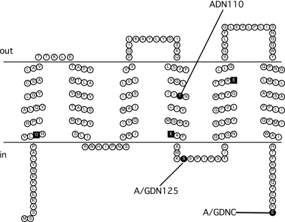 FIG. 5.