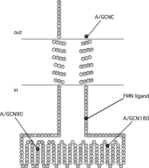 FIG. 2.