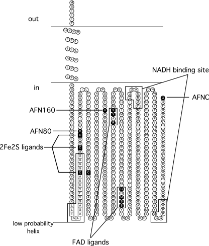 FIG. 7.