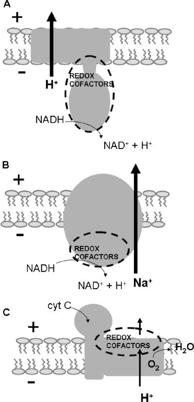 FIG. 8.