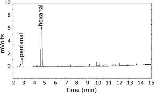 Fig. 5