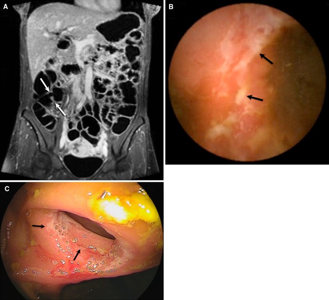 Fig. 3