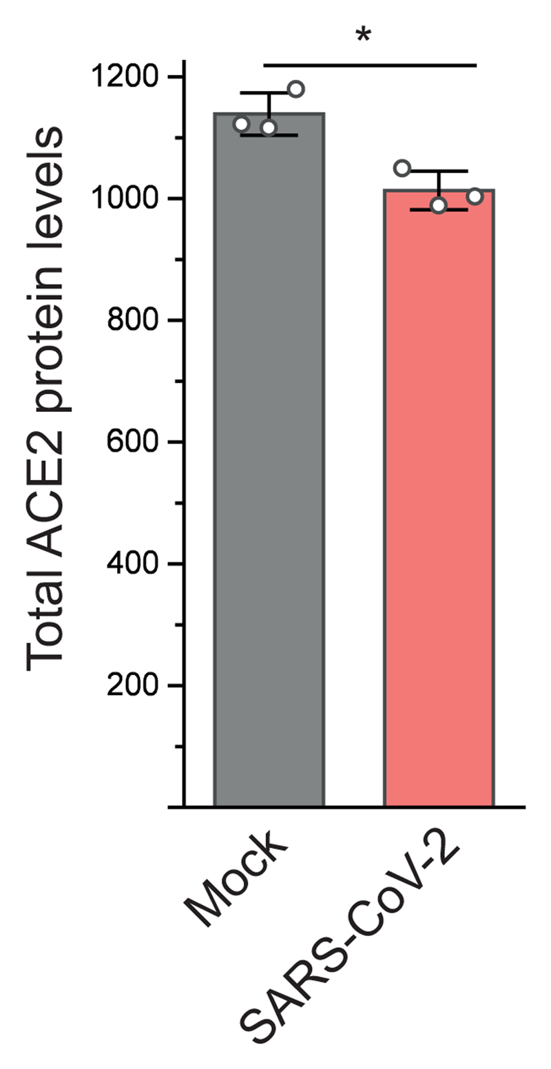 Extended Data Fig. 8