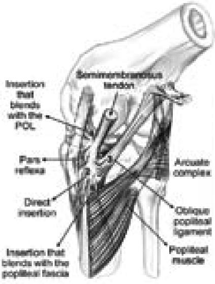 Figure 3A