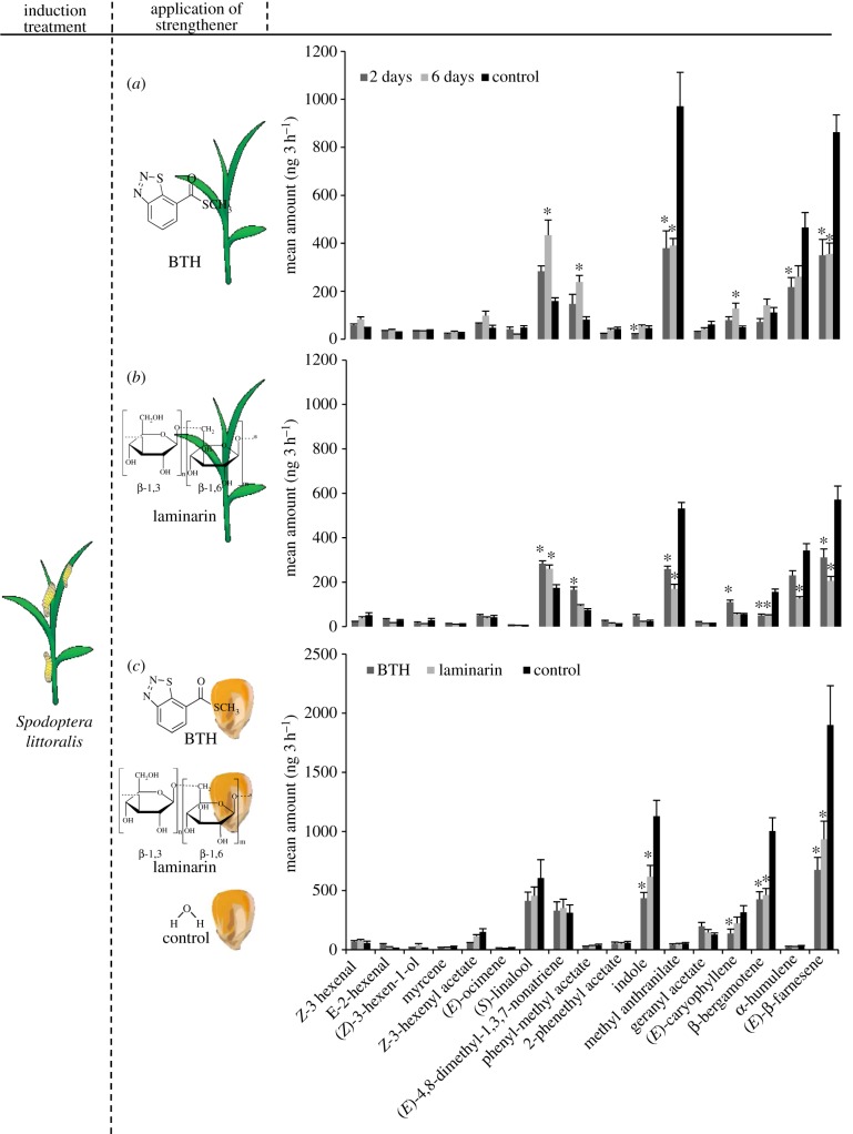 Figure 3.