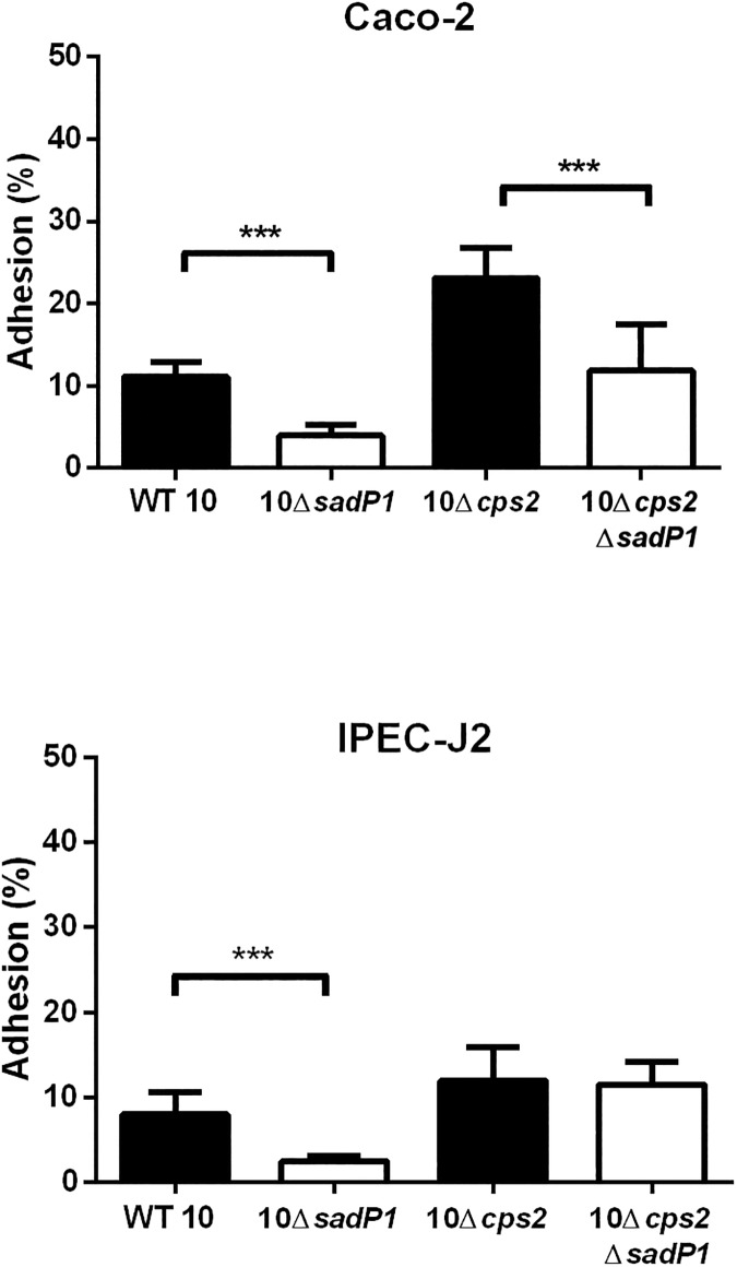 Fig 4