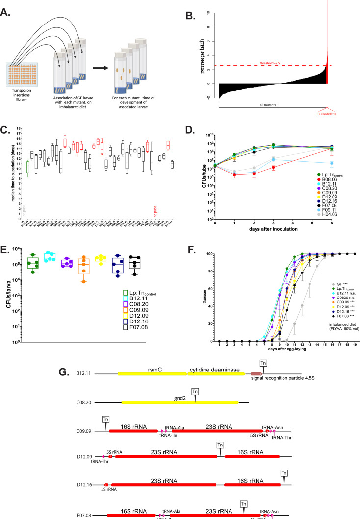 Figure 2.