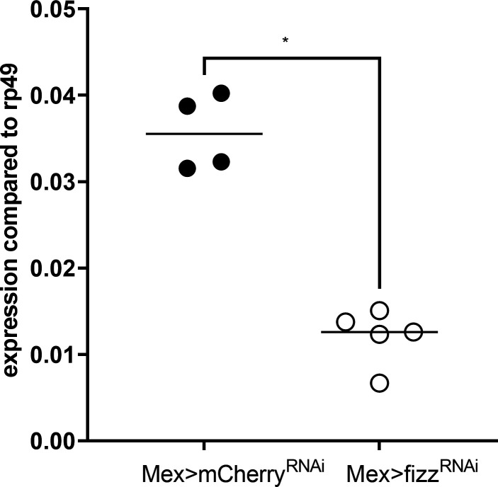 Figure 8—figure supplement 1.