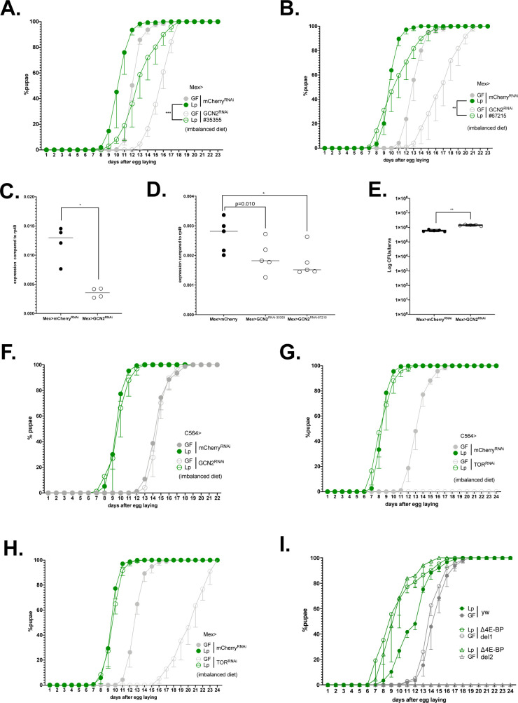 Figure 6—figure supplement 1.