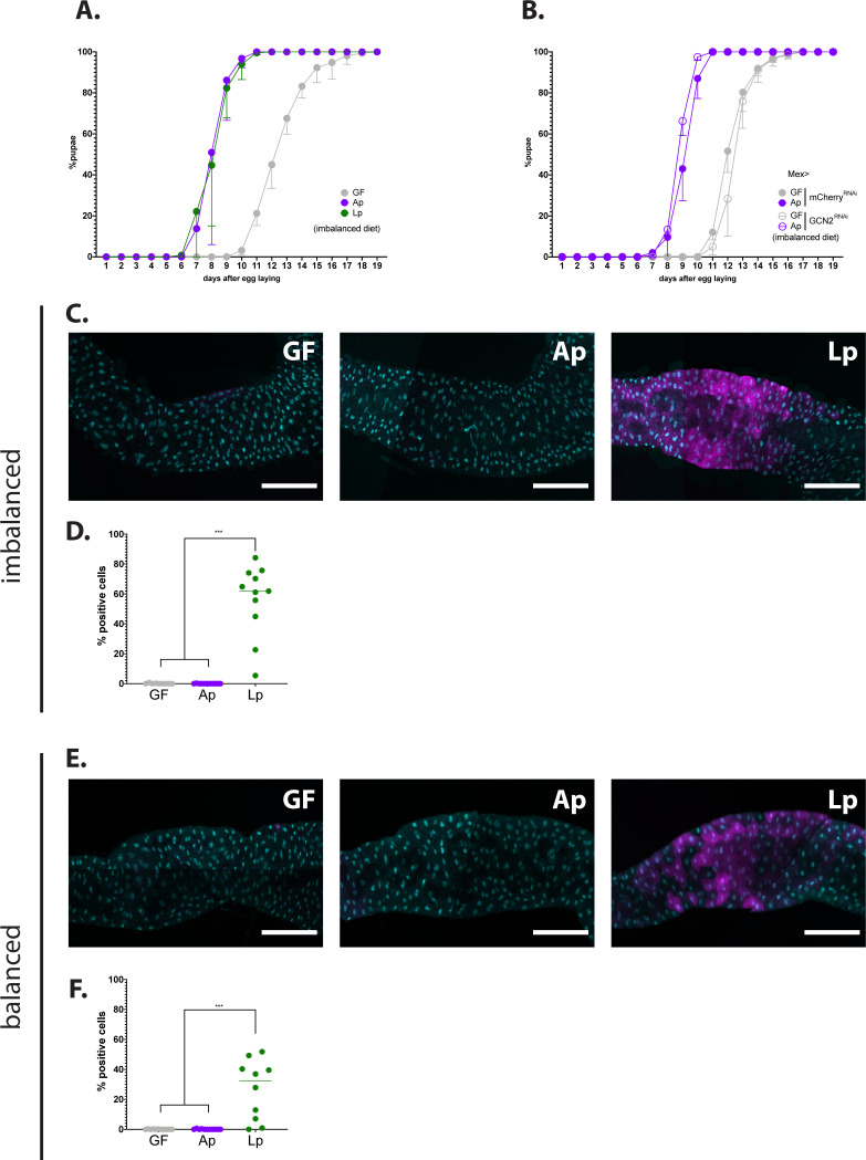 Figure 6—figure supplement 2.