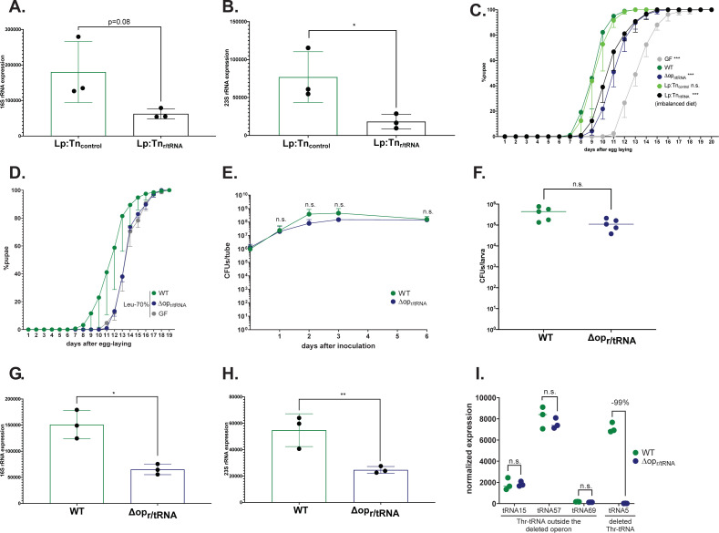 Figure 2—figure supplement 1.