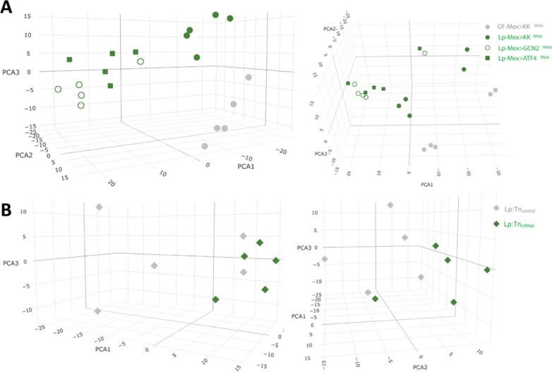 Figure 7—figure supplement 1.