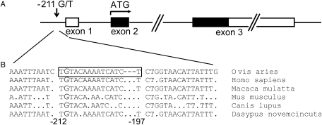 Figure 1: