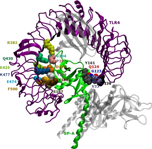 Fig. 6.