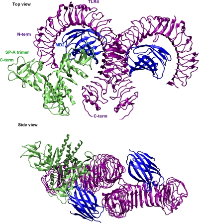 Fig. 4.