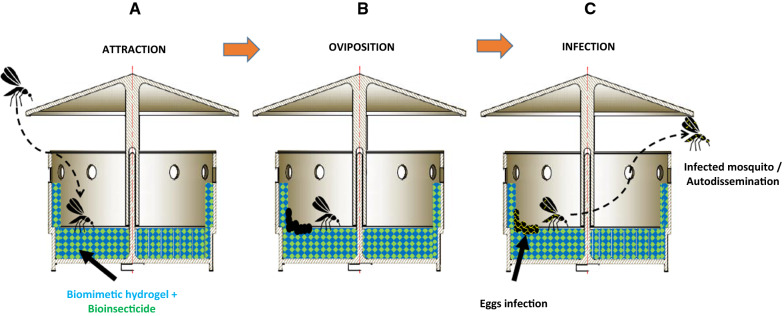 Fig. 2