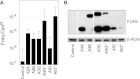 Figure 1—figure supplement 1.